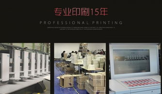 高端產品宣傳畫冊設計制作 專業畫冊設計與網絡工程的融合之道